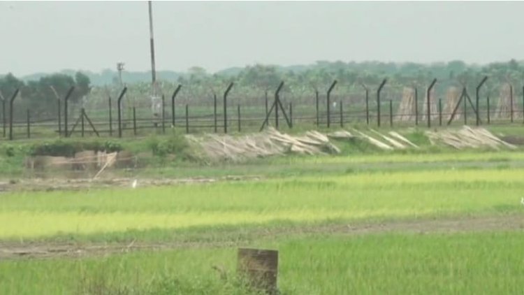 ঠাকুরগাঁও সীমান্তে বিএসএফের গুলিতে বাংলাদেশি যুবক নিহত