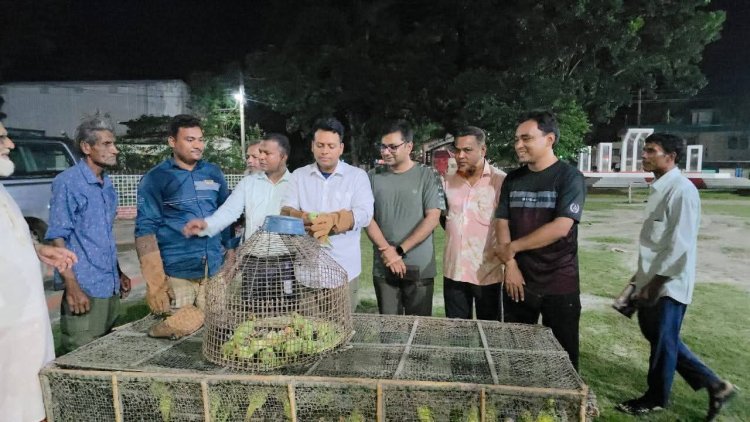 চাঁপাইনবাবগঞ্জে আটকে রাখা টিয়া পাচারের আগে উদ্ধার করে অবমুক্ত-দুই শিকারী কারাগারে