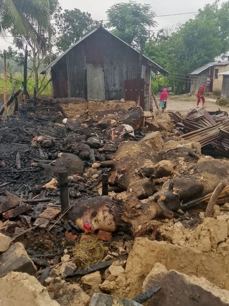 চুনারুঘাটে কয়েল থেকে আগুন-৩০টি গবাদিপশু ও হাঁস-মুরগি পুড়ে ছাই