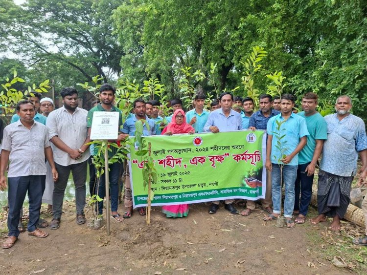 জুলাই শহীদদের স্মরণে নিয়ামতপুরে বৃক্ষরোপন