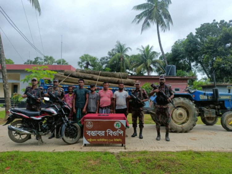 নওগাঁ সীমান্তে কাঠ পাচারকালে কাঠসহ আটক-৫