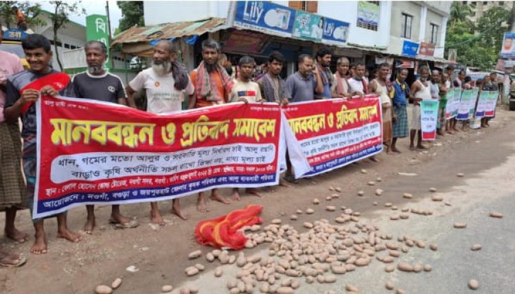 রাস্তায় আলু ফেলে নায্য দাম নির্ধারণের দাবিতে নওগাঁয় মানববন্ধন