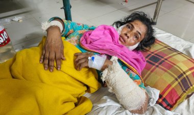 নওগাঁর বদলগাছীতে এক নারীকে এলোপাতাড়ি কুপিয়ে জখম