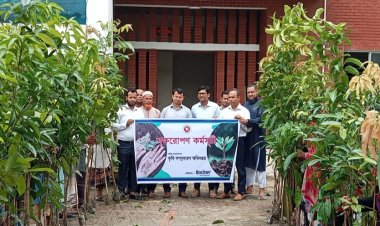 নওগাঁয় ইনতেফার উদ্যোগে বৃক্ষরোপণ কর্মসূচী
