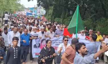 বিজয়ের বর্ষপূর্তি পালন উপলক্ষে দুমকিতে বিএনপি'র হাজারো নেতাকর্মীর ঢল