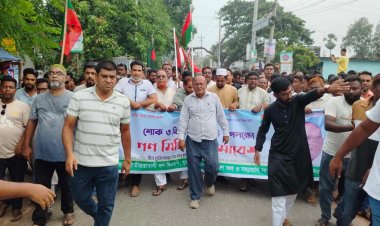 নিয়ামতপুরে শোক ও বিজয়ের বর্ষপূর্তী উপলক্ষে  বিএনপির গণমিছিল ও সমাবেশ