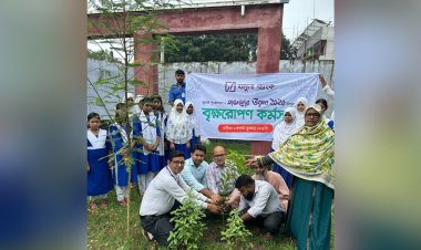 বাঘায় যমুনা ব্যাংকের পক্ষ থেকে বৃক্ষ রোপন কর্মসূচী পালন