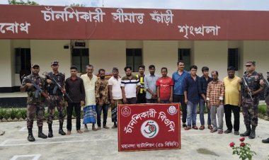 চাঁপাইনবাবগঞ্জ সীমান্তে ১৩ বাংলাদেশীকে পুশইন করলো বিএসএফ