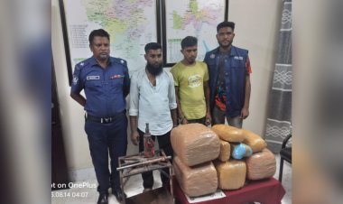 নবীগঞ্জে গাঁজাসহ দুই মাদক ব্যবসায়ী গ্রেফতার