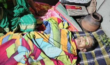 দুমকিতে সাপের কামড়ে প্রাণ গেল বৃদ্ধের