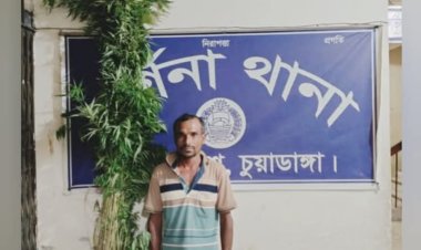 চুয়াডাঙ্গায় গাঁজার গাছসহ চাষি আটক
