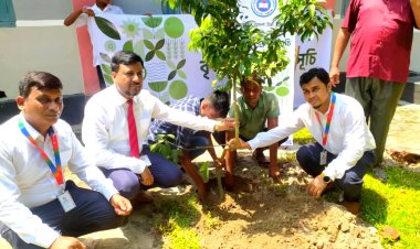 পলাশবাড়ীর গৃধারীপুর আদর্শ উচ্চ বিদ্যালয়ে সিটি ব্যাংকের বৃক্ষরোপণ কর্মসূচি