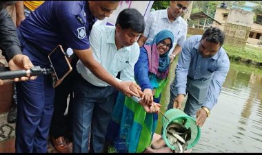 নিয়ামতপুরে জাতীয় মৎস্য সপ্তাহ'র উদ্বোধন