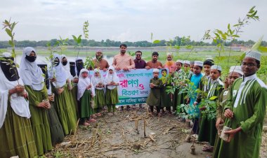আন নাসিহা ফাউন্ডেশনের বৃক্ষরোপণ কর্মসূচি