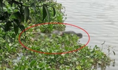 চাঁপাইনবাবগঞ্জে মহানন্দা নদীতে অজ্ঞাত মরদেহ উদ্ধার