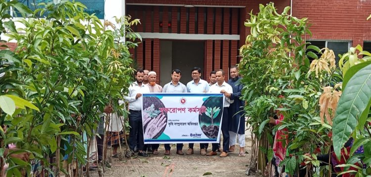 নওগাঁয় ইনতেফার উদ্যোগে বৃক্ষরোপণ কর্মসূচী