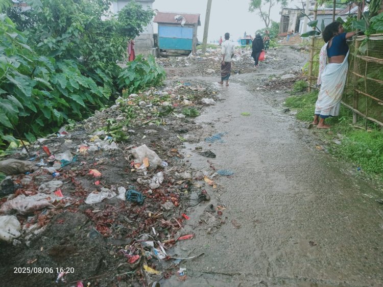 নাসিরনগরে রাস্তায় মযলা আবর্জনার স্তূপে জনদুর্ভোগ চরমে