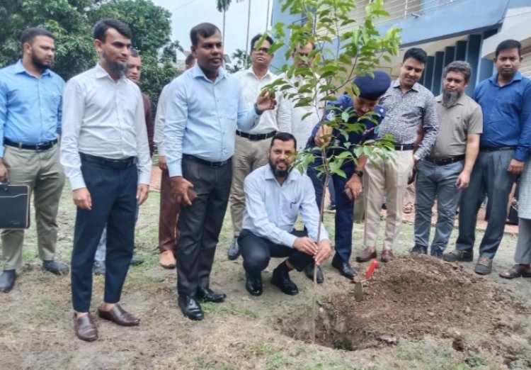 নাচোলে দিনব্যাপী বিভিন্ন প্রতিষ্ঠান পরিদর্শন করেন জেলা প্রশাসক