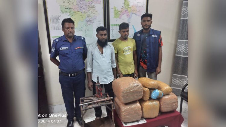 নবীগঞ্জে গাঁজাসহ দুই মাদক ব্যবসায়ী গ্রেফতার