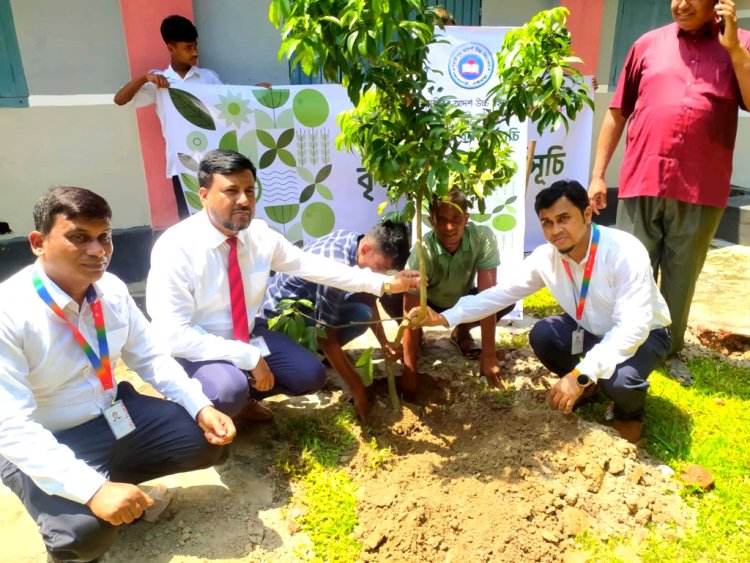 পলাশবাড়ীর গৃধারীপুর আদর্শ উচ্চ বিদ্যালয়ে সিটি ব্যাংকের বৃক্ষরোপণ কর্মসূচি