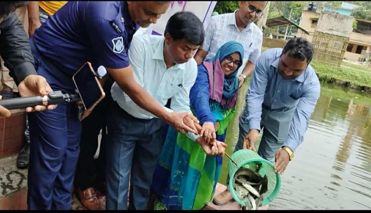 নিয়ামতপুরে জাতীয় মৎস্য সপ্তাহ'র উদ্বোধন