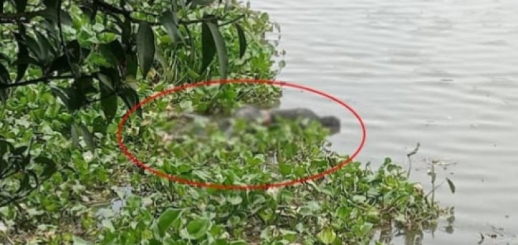 চাঁপাইনবাবগঞ্জে মহানন্দা নদীতে অজ্ঞাত মরদেহ উদ্ধার