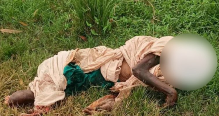 চাঁপাইনবাবগঞ্জে টেনে কাটা পড়ে বৃদ্ধ মহিলার মৃত্যু
