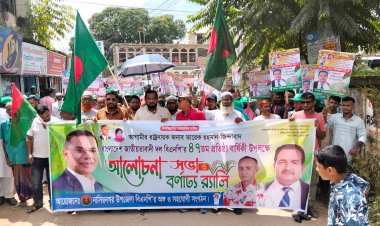 নাসিরনগরে বিএনপির ৪৭তম প্রতিষ্ঠাবার্ষিকী পালিত