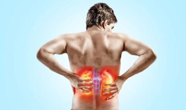 কিডনি রোগের উপসর্গ জেনে নিন