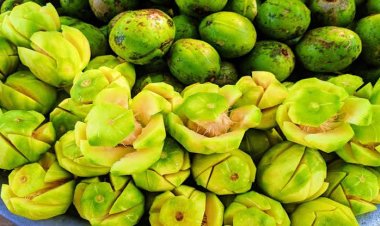 আমড়া খাওয়ার ৭টি স্বাস্থ্যগুণ জানলে অবাক হবেন