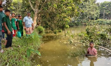 মান্দায় পুকুরে বিষ প্রয়োগ করে তিন লক্ষাধিক টাকার মাছ নিধন