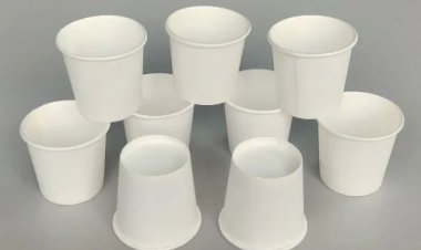 ওয়ান টাইম কাপে চা-কফি: স্বাস্থ্যের জন্য কতটা ঝুঁকিপূর্ণ?