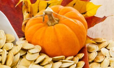 কুমড়ার বীজে লুকানো ১০ জাদুকরী স্বাস্থ্য উপকারিতা