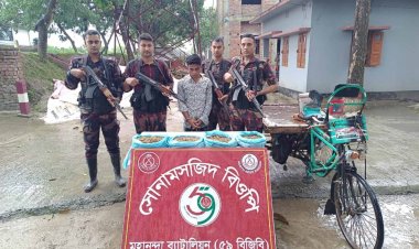 শিবগঞ্জে গাঁজাসহ একজন আটক