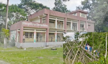 দুমকীতে স্কুলপথে ঝুঁকিপূর্ণ বাঁশের সাঁকো