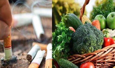 ধূমপানের ক্ষতি সারিয়ে তুলতে কার্যকর ৫ খাবার