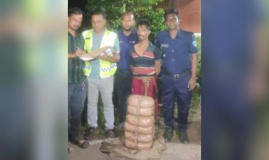 বুড়িচংয়ে গাঁজাসহ যুবদল নেতা আটক