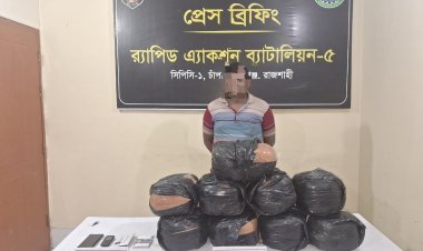চাঁপাইনবাবগঞ্জে বিপুল পরিমাণ গাঁজাসহ একজন গ্রেফতার