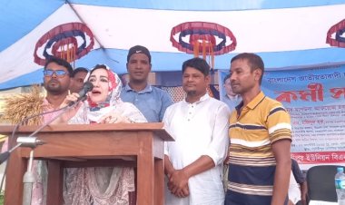 গোমস্তাপুরে বিএনপির কর্মিসভা