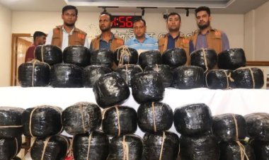 মাদারীপুরে ২০০ কেজি গাঁজাসহ দুইজন গ্রেফতার