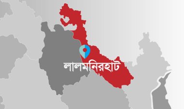 লালমনিরহাটে বিদ্যুৎস্পৃষ্টে দুই ভাই নিহত
