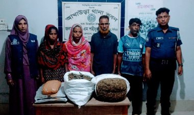 ব্রাহ্মণবাড়িয়া গাঁজাসহ চারজন গ্রেফতার