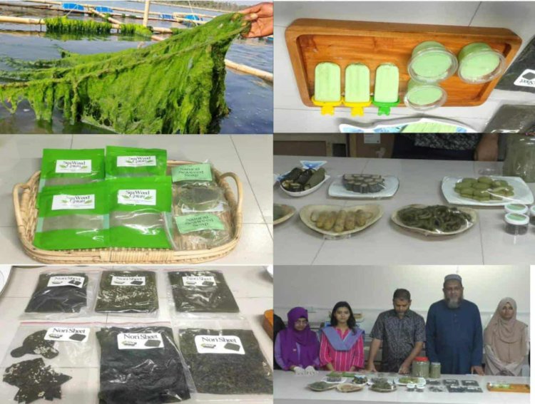 পবিপ্রবিতে শৈবাল গবেষণা-খাবার ও প্রসাধনী শিল্পে সম্ভাবনার নতুন দিগন্ত