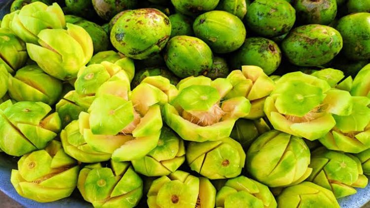 আমড়া খাওয়ার ৭টি স্বাস্থ্যগুণ জানলে অবাক হবেন