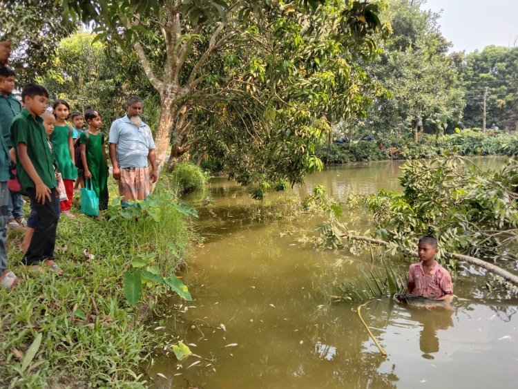 মান্দায় পুকুরে বিষ প্রয়োগ করে তিন লক্ষাধিক টাকার মাছ নিধন