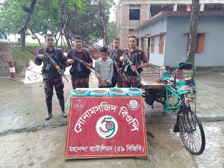 শিবগঞ্জে গাঁজাসহ একজন আটক