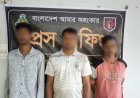 ব্রাহ্মণবাড়িয়ায় গাঁজাসহ তিন আটক