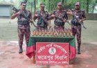 চাঁপাইনবাবগঞ্জ সীমান্তে ৪৭ বোতল জব্দ ভারতীয় মদ