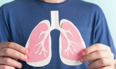 ভুল বালিশে শুয়েই খারাপ হচ্ছে আপনার ফুসফুস! জানেন কীভাবে?