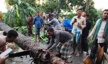 নওগাঁয় বজ্রপাতে জেলের মৃত্যু